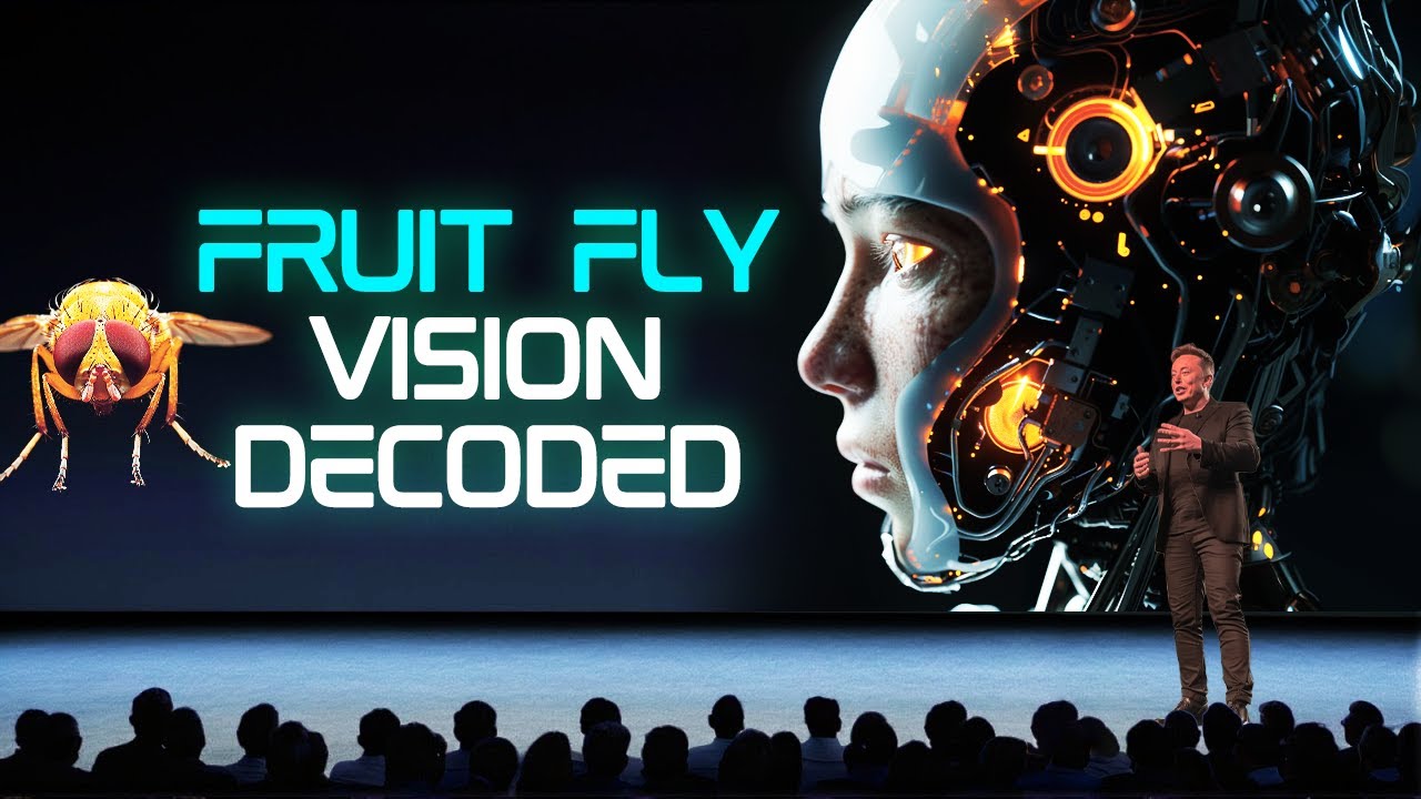 Decoding Fruit Fly Vision with AI: Implications for Human Understanding ...